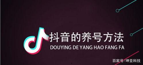 爆料如何投稿抖音文案视频,如何从爆料中创作热门视频 第2张 爆料如何投稿抖音文案视频,如何从爆料中创作热门视频 第2张