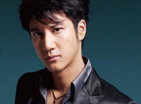 吃瓜网红王力宏简介视频,吃瓜网红背后的音乐传奇  第1张