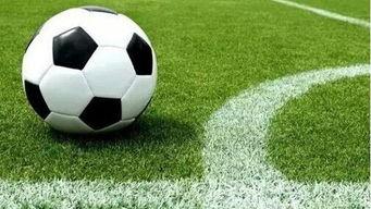 爆料视频足球解说文案,爆料视频揭示精彩瞬间与幕后故事 第1张 爆料视频足球解说文案,爆料视频揭示精彩瞬间与幕后故事 第1张