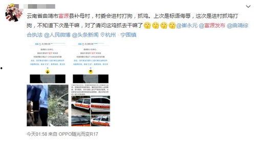 曲靖爆料视频最新,揭秘当地民生热点事件背后的真相